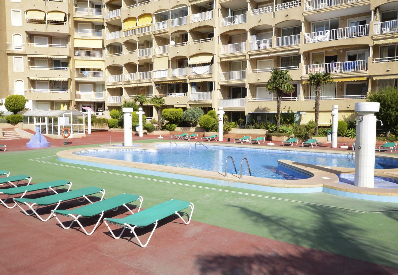 Apartamento en Calpe - A61 APOLO 7 ESC 2 5º 17