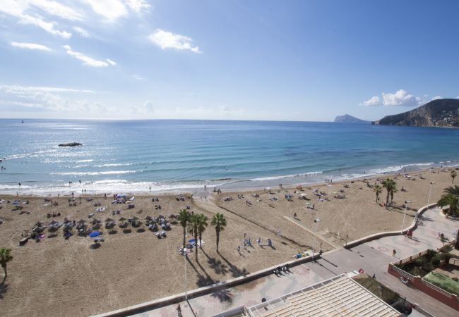 Apartamento en Calpe - A34 CALPE PLAYA 8 º - D