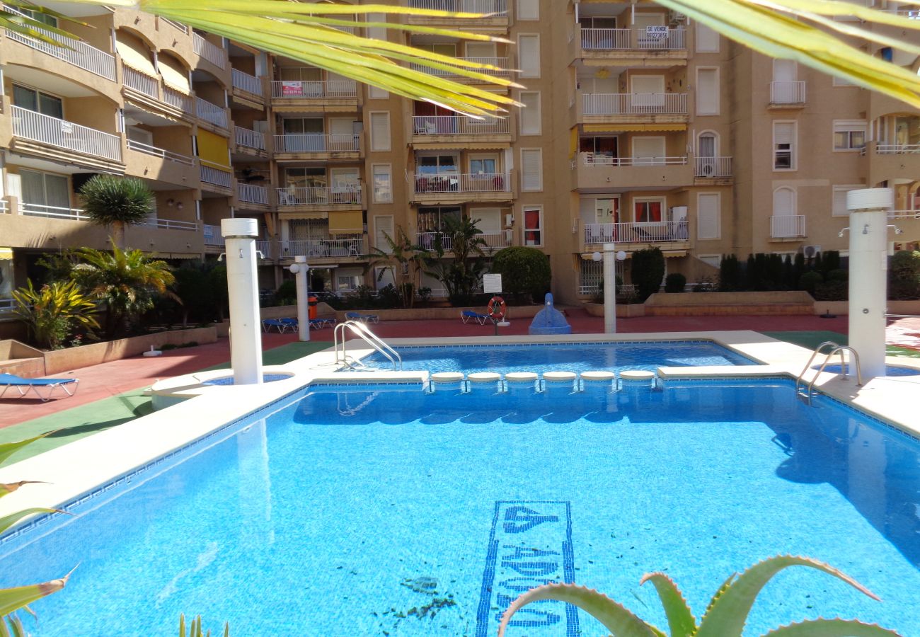 Apartamento en Calpe - A08 APOLO 7 ESC 5 1º 3