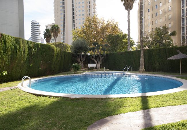 Apartamento en Calpe - A65  Edif. PEÑASOL 10º 39