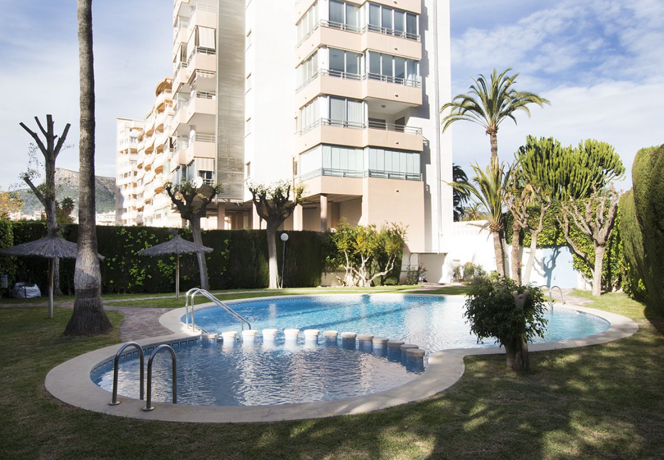 Apartamento en Calpe - A65  Edif. PEÑASOL 10º 39