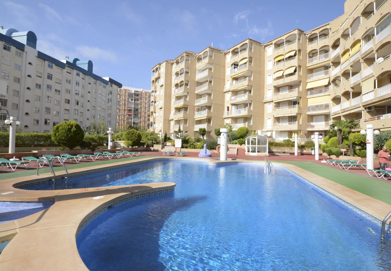 Apartamento en Calpe - A51 APOLO 7 ESC 3 5º 22