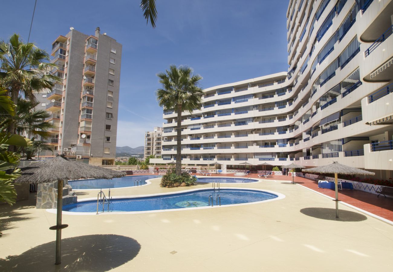 Apartamento en Calpe - A14 TURQUESA BEACH 2 1º C