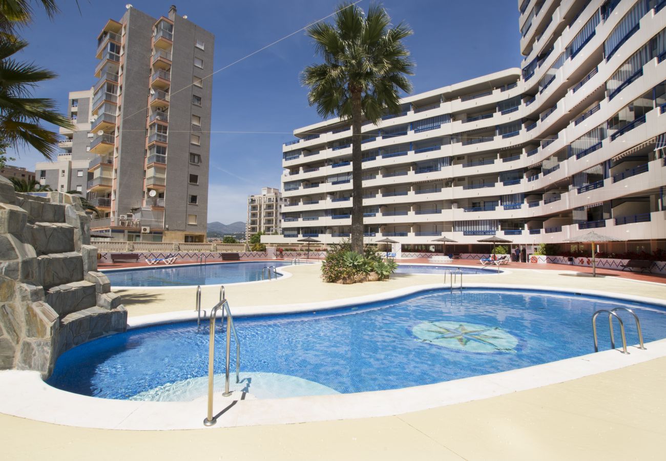 Apartamento en Calpe - A14 TURQUESA BEACH 2 1º C