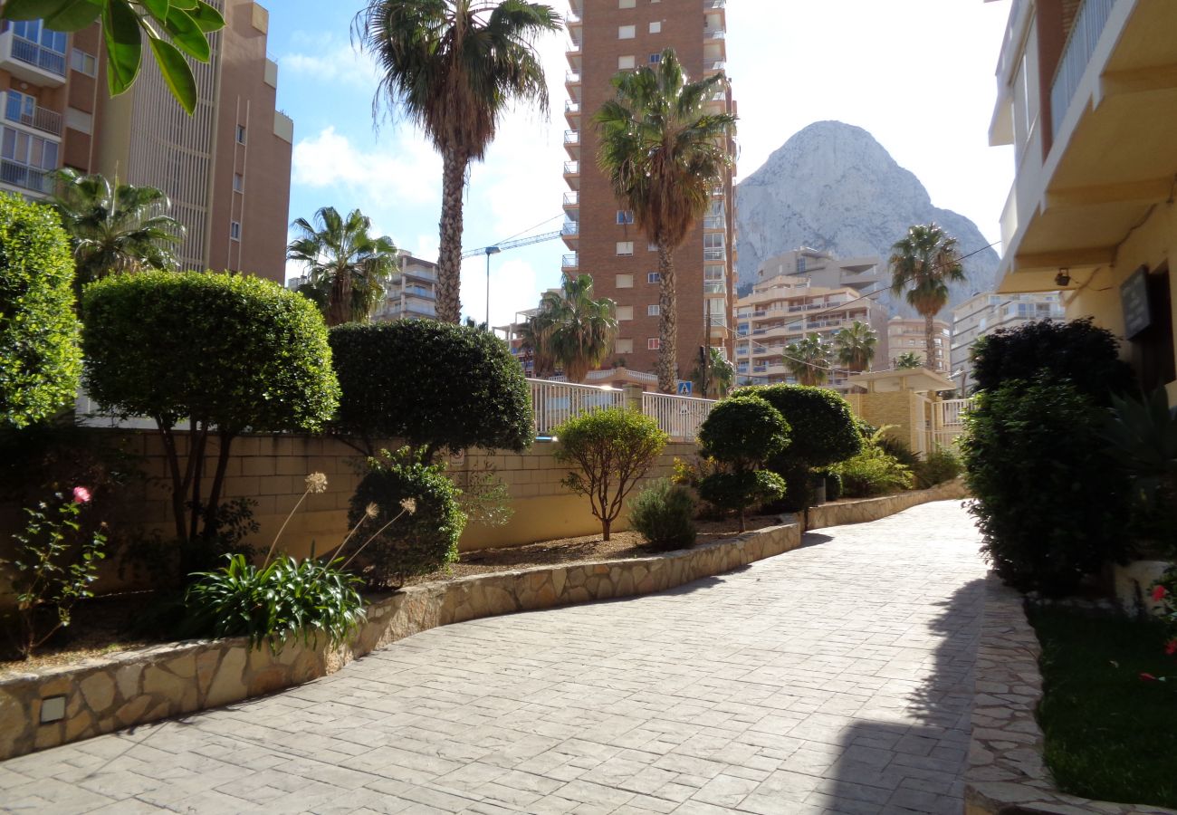 Ferienwohnung in Calpe / Calp - A24 EDIFICIO LA LUZ II 5ºA