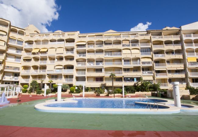 Ferienwohnung in Calpe / Calp - A45 APOLO 7 ESC 4 6º 27