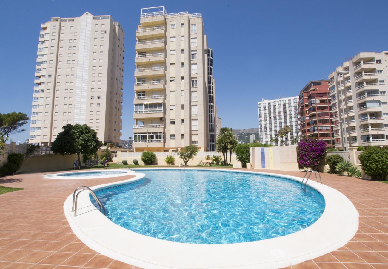 Ferienwohnung in Calpe / Calp - A110 EDIFICIO LA REINA 8º 45