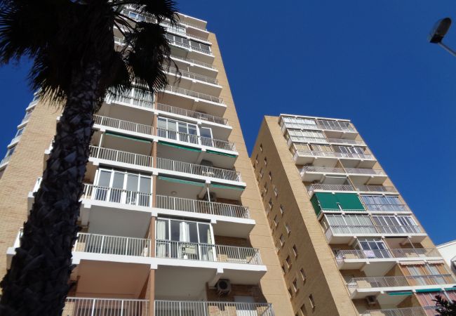 Ferienwohnung in Calpe / Calp - A52 EDIFICIO LA LUZ II 11ºD