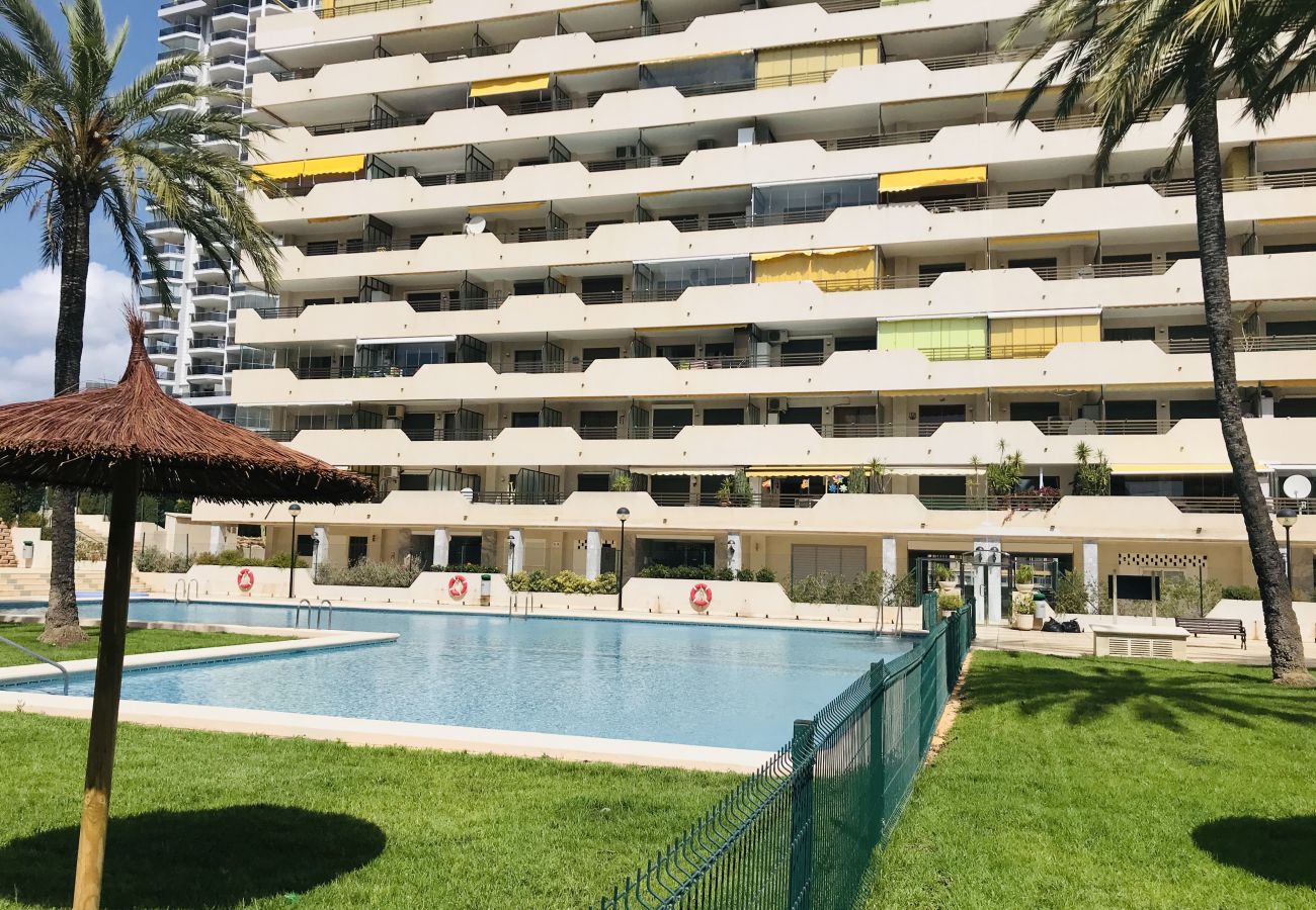 Wohnung in Calpe / Calp - A81 CALPPLACE ESC 4 2º 1