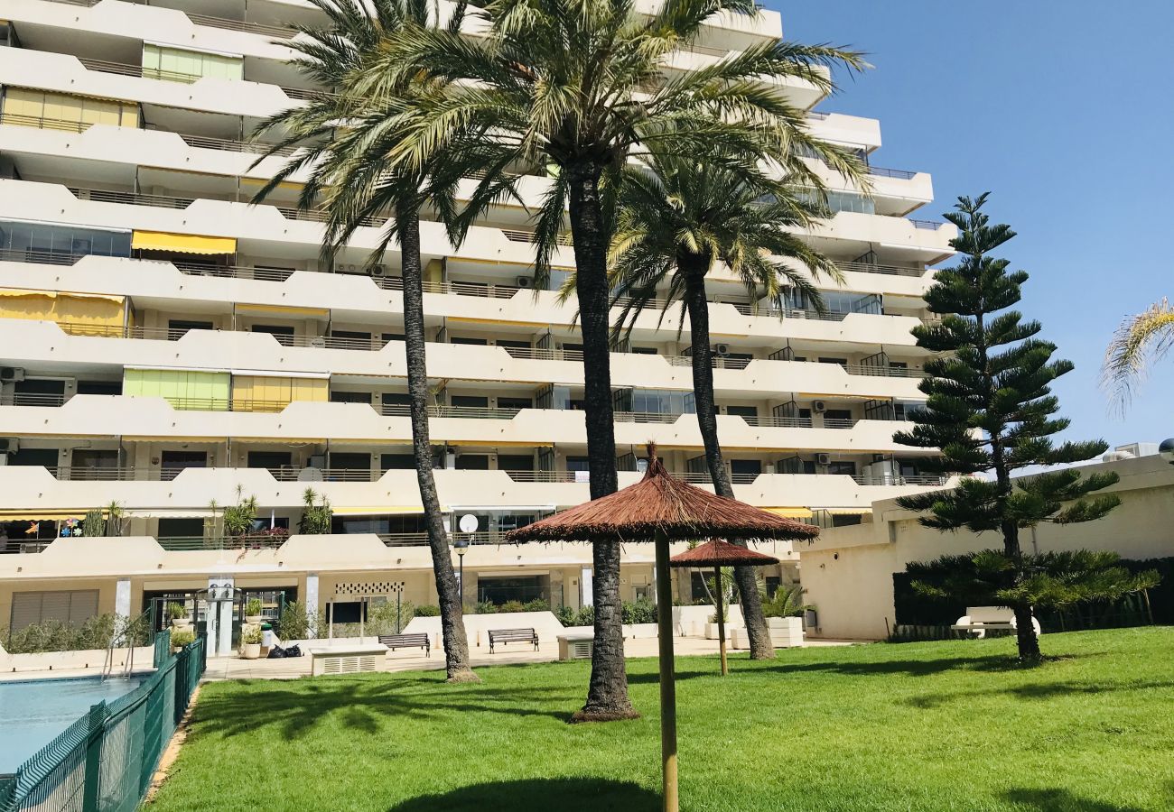 Wohnung in Calpe / Calp - A81 CALPPLACE ESC 4 2º 1