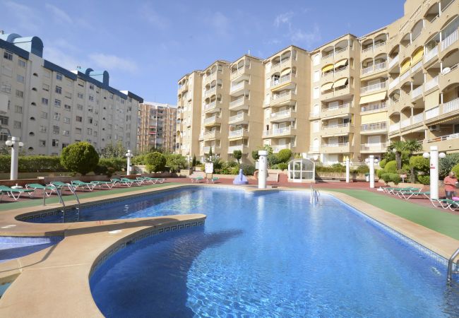 Ferienwohnung in Calpe - A51 APOLO 7 ESC 3 5º 22 Ferienwohnung in Calpe - A51 APOLO 7 ESC 3 5º 22