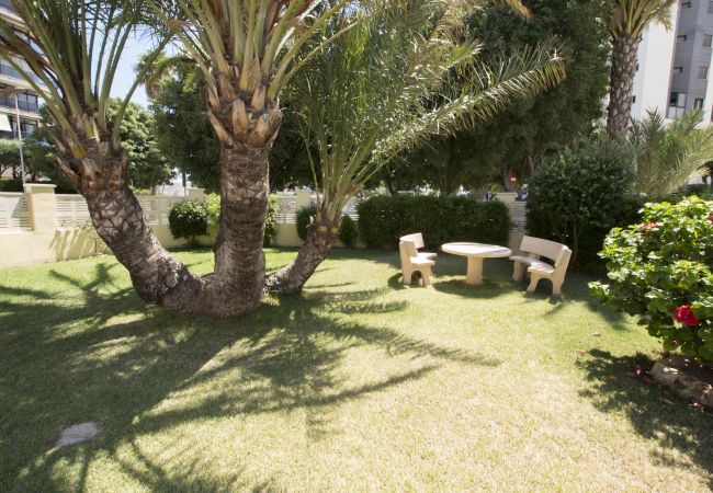 Appartement in Calpe - A32 EDIFICIO LA REINA 9º 51 Appartement in Calpe - A32 EDIFICIO LA REINA 9º 51