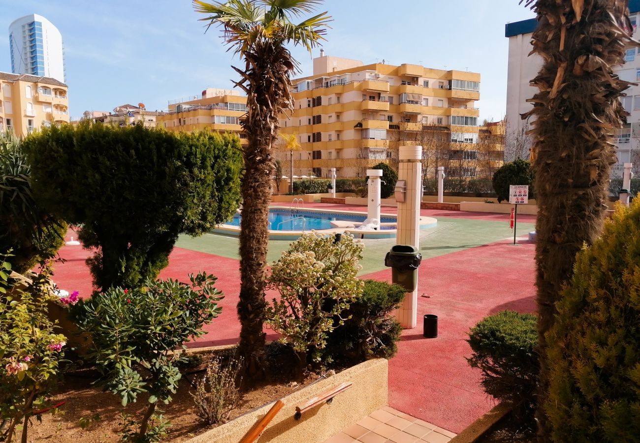 Appartement in Calpe - A12 APOLO 7 ESC 2 1º 3