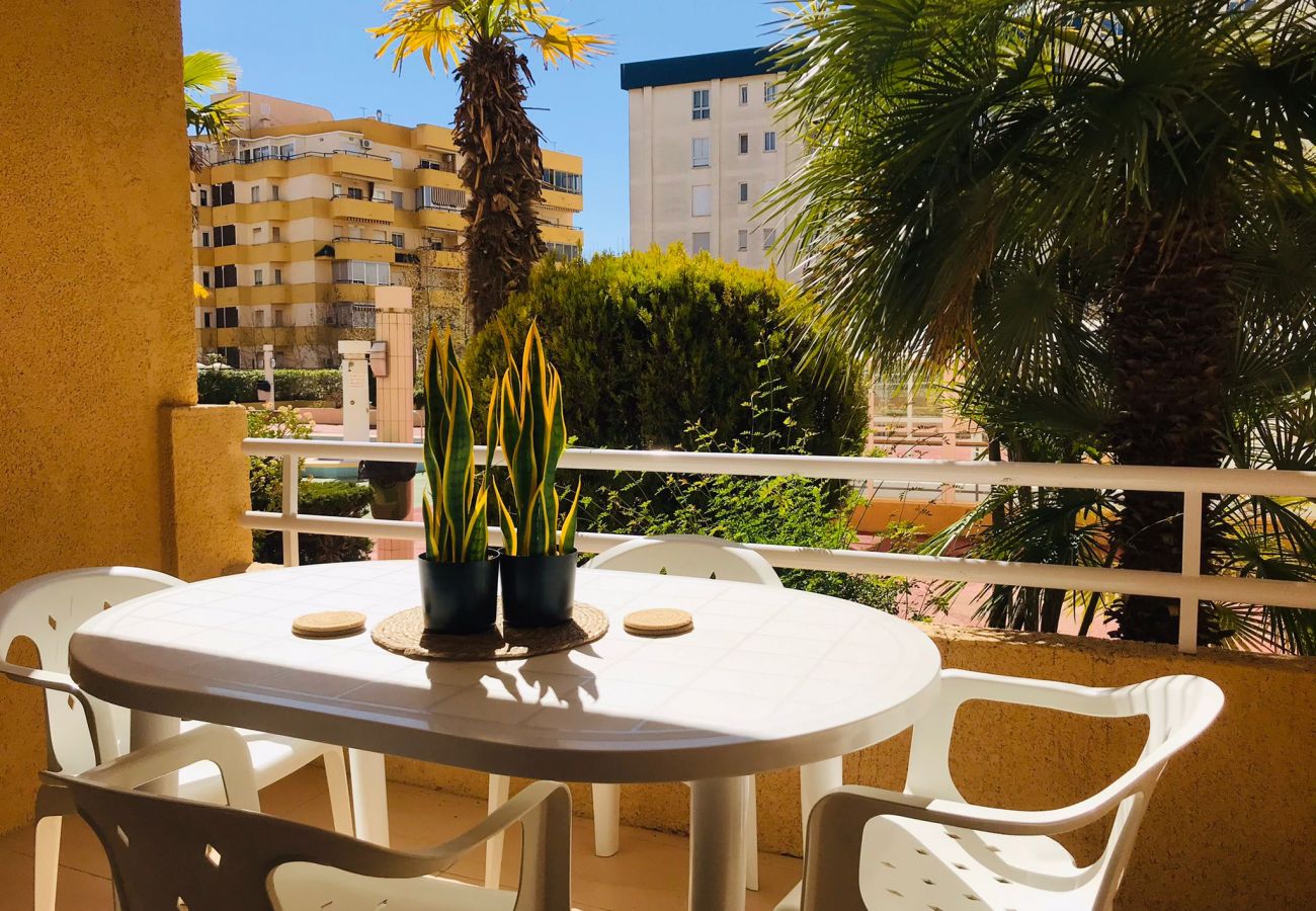 Appartement in Calpe - A12 APOLO 7 ESC 2 1º 3