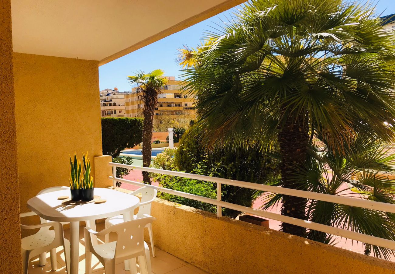 Appartement in Calpe - A12 APOLO 7 ESC 2 1º 3