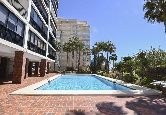 Appartement in Calpe - A71 EDIFICIO COLON 7ºA