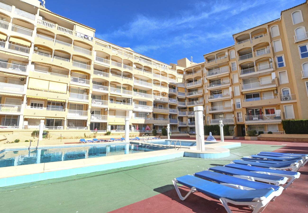 Appartement in Calpe - A08 APOLO 7 ESC 5 1º 3