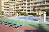 Appartement in Calpe - A95 APOLO 7 ESC 1  1º 9 Appartement in Calpe - A95 APOLO 7 ESC 1  1º 9