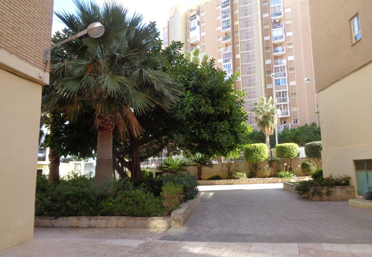 Apartment in Calpe / Calp - A24 EDIFICIO LA LUZ II 5ºA