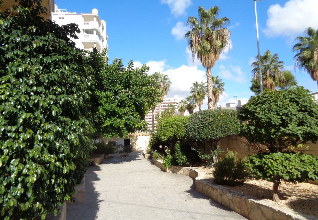 Apartment in Calpe / Calp - A24 EDIFICIO LA LUZ II 5ºA