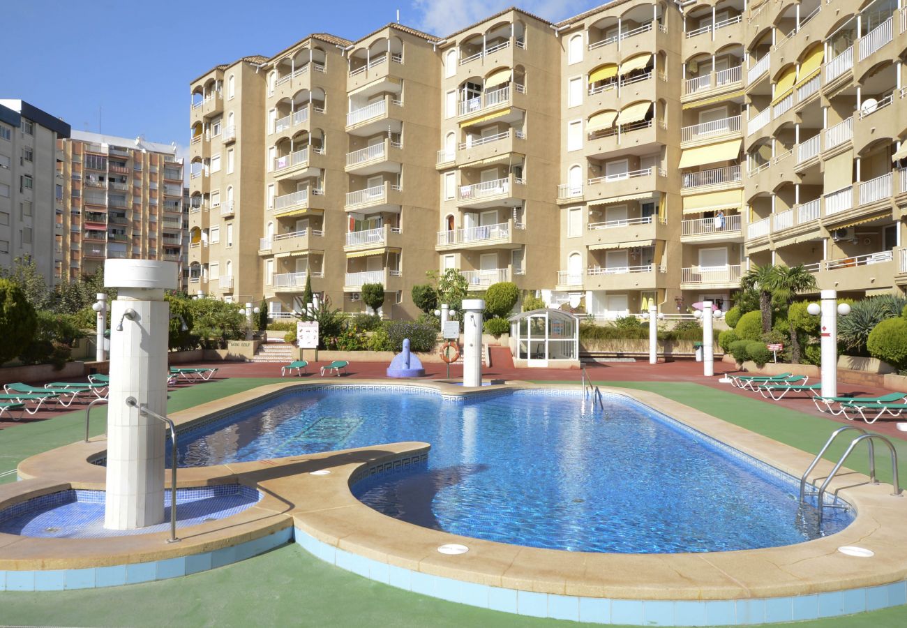 Community pool surrounded by garden