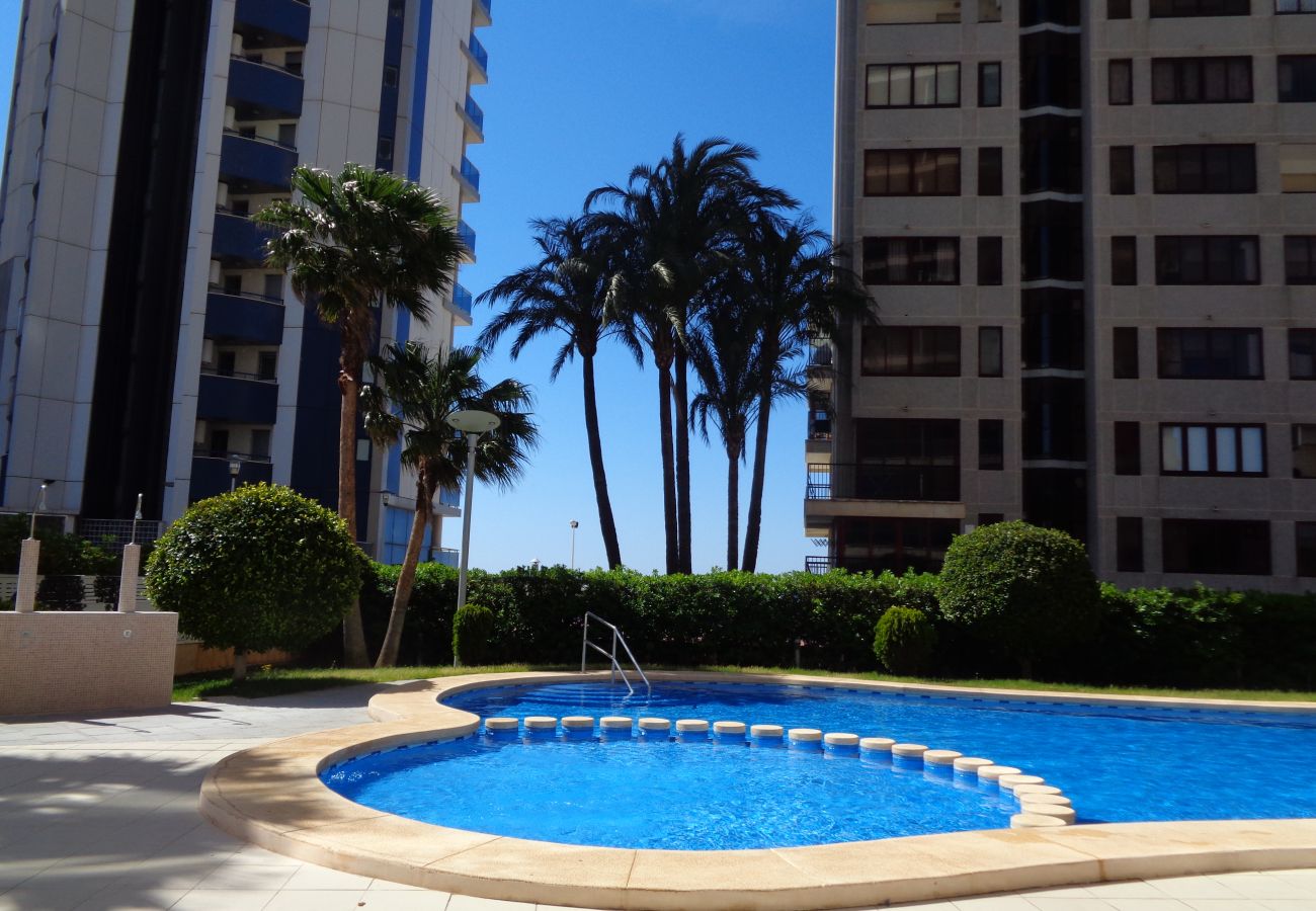 Apartment in Calpe / Calp - A66 BAHIA DEL SOL 13A