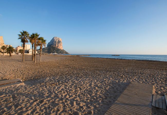 Apartment in Calpe / Calp - A43 EDIFICIO OCEANIC 6º 608