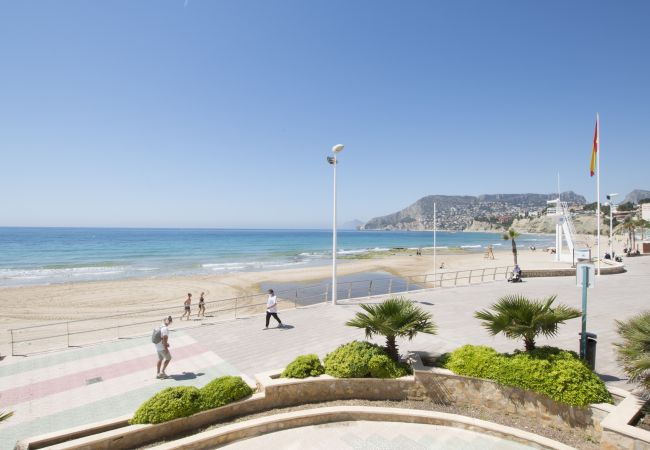 Apartment in Calpe / Calp - A74 EDIFICIO RIO 1º PTA 1