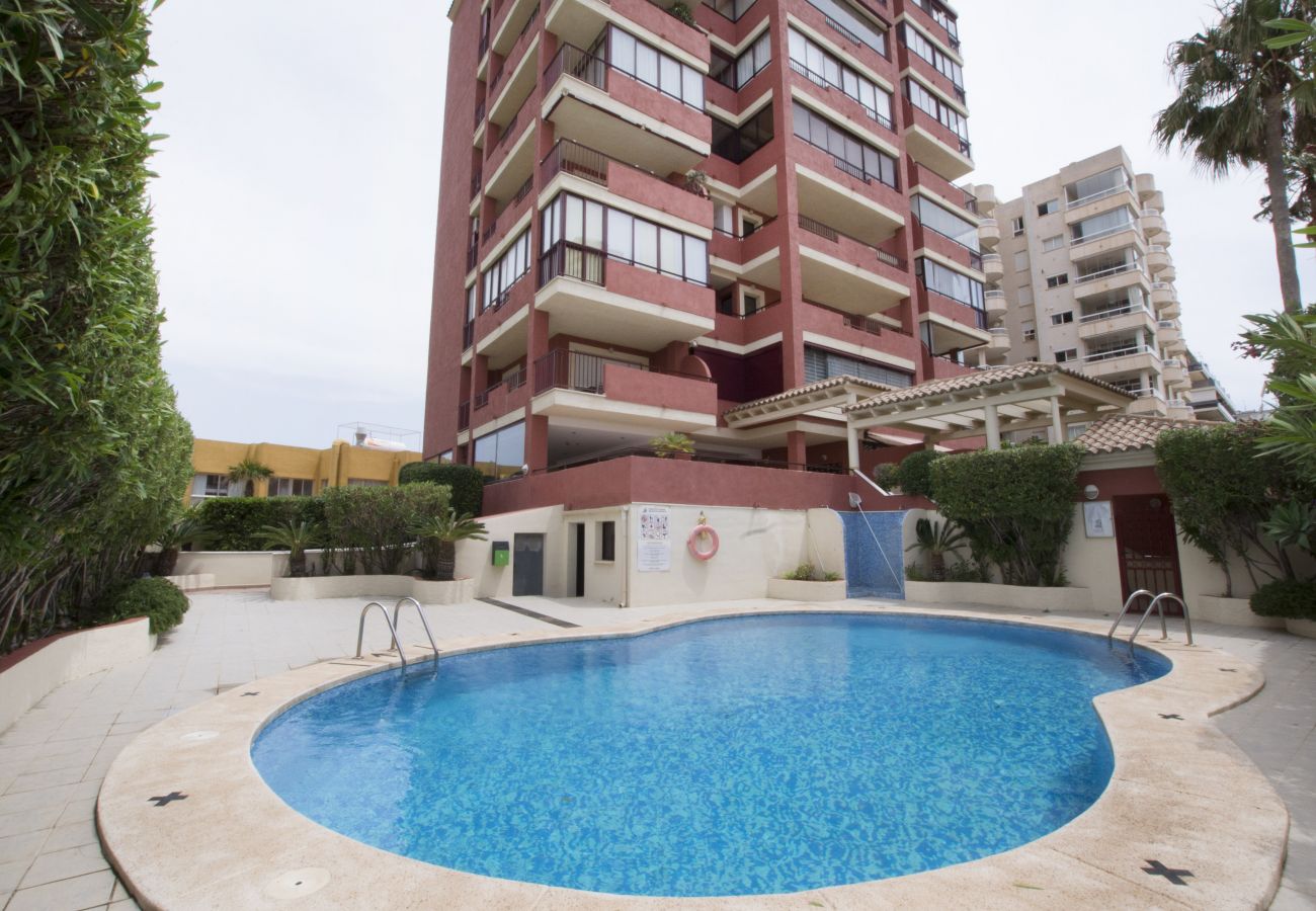 Apartment in Calpe / Calp - A31  EDIFICIO LAGUNA 5ºE