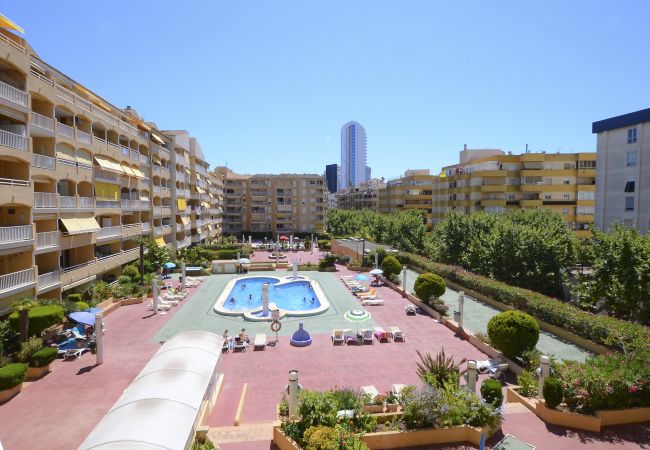 Apartment in Calpe / Calp - A64 APOLO 7 ESC 1 3º 40